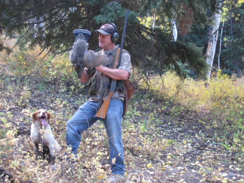 Utah grouse hunt Shotgun Forum